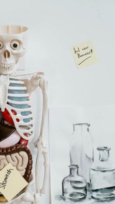Alcohol en cosmética y su efecto en la piel